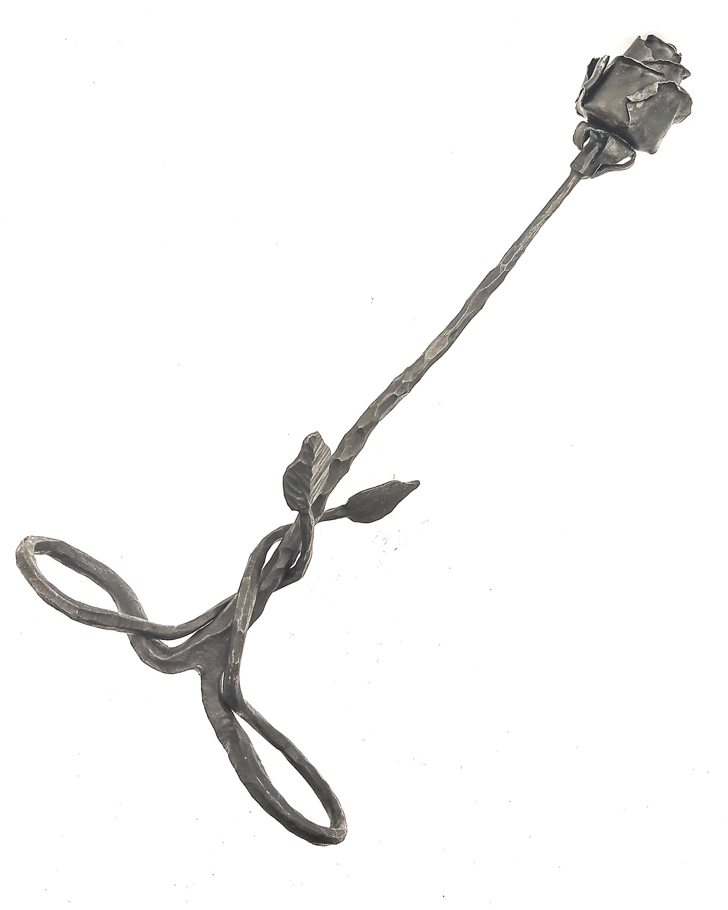 Rosa autoportante INFINITO - Collezione ROSE