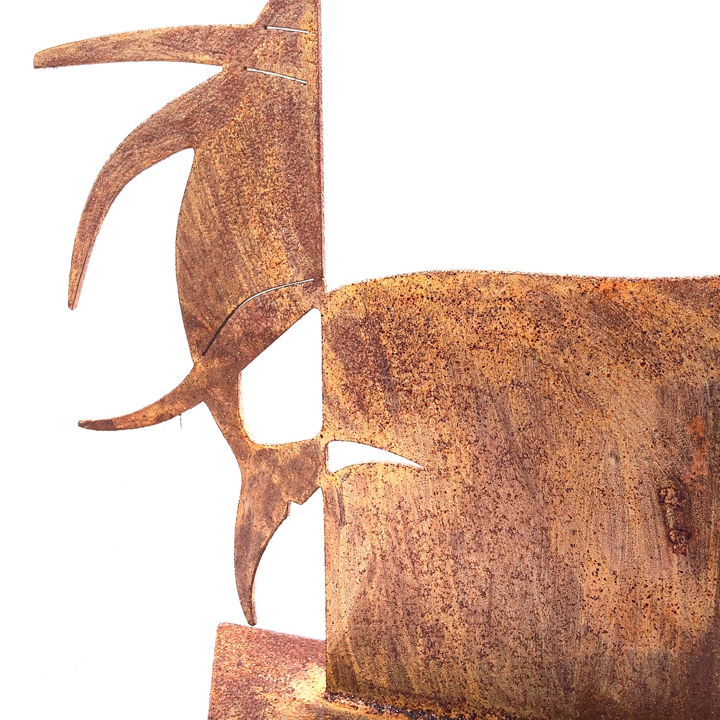 Scultura WINDOW FISH