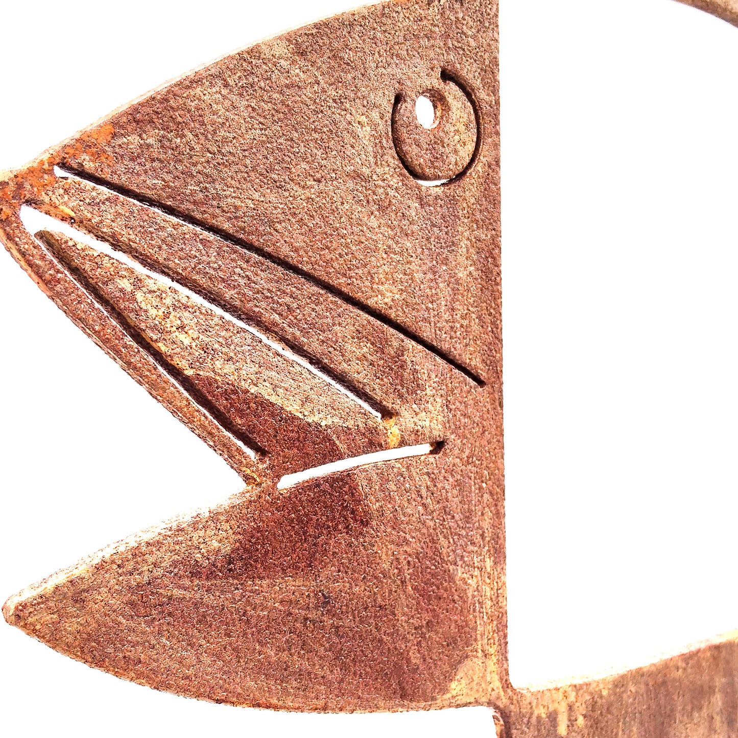 Scultura WINDOW FISH