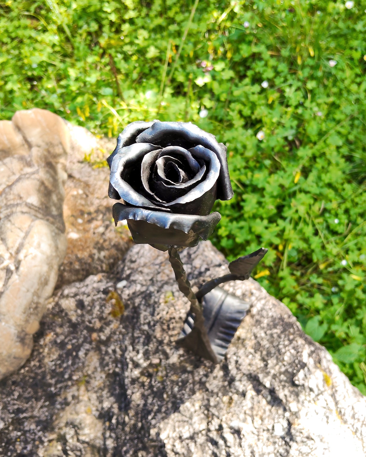 Rosa su foglia