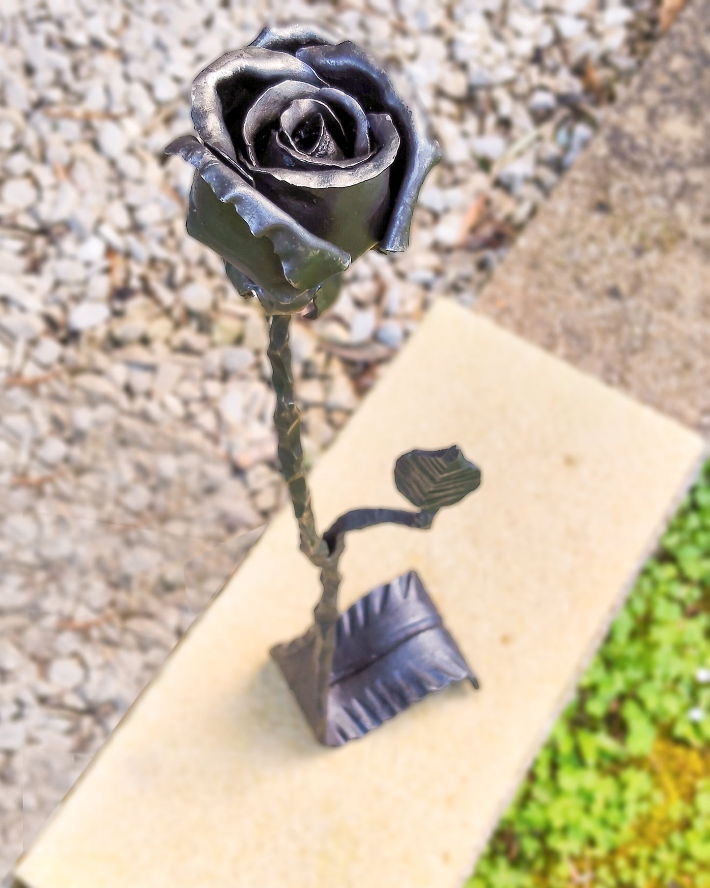 Rosa su foglia