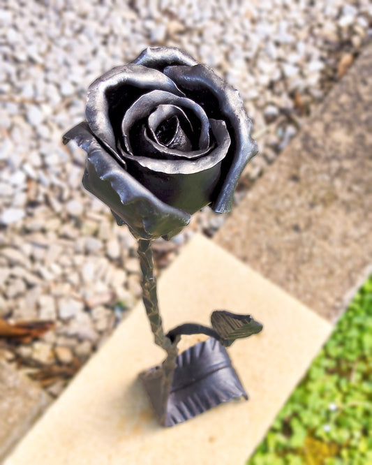 Rosa su foglia