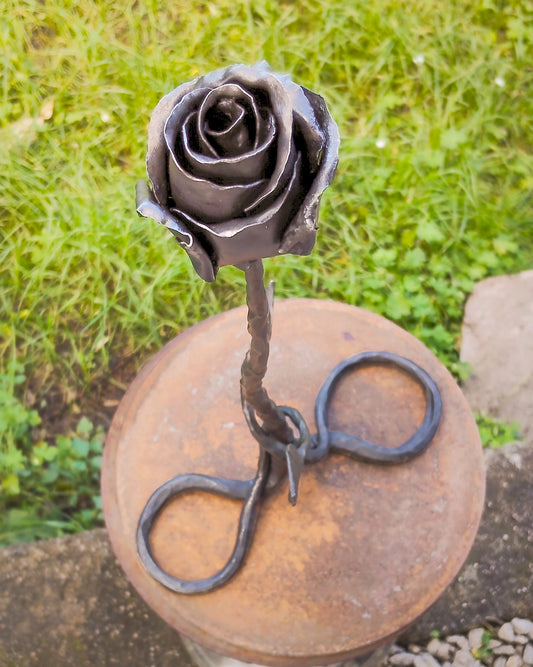 Rosa autoportante INFINITO - Collezione ROSE