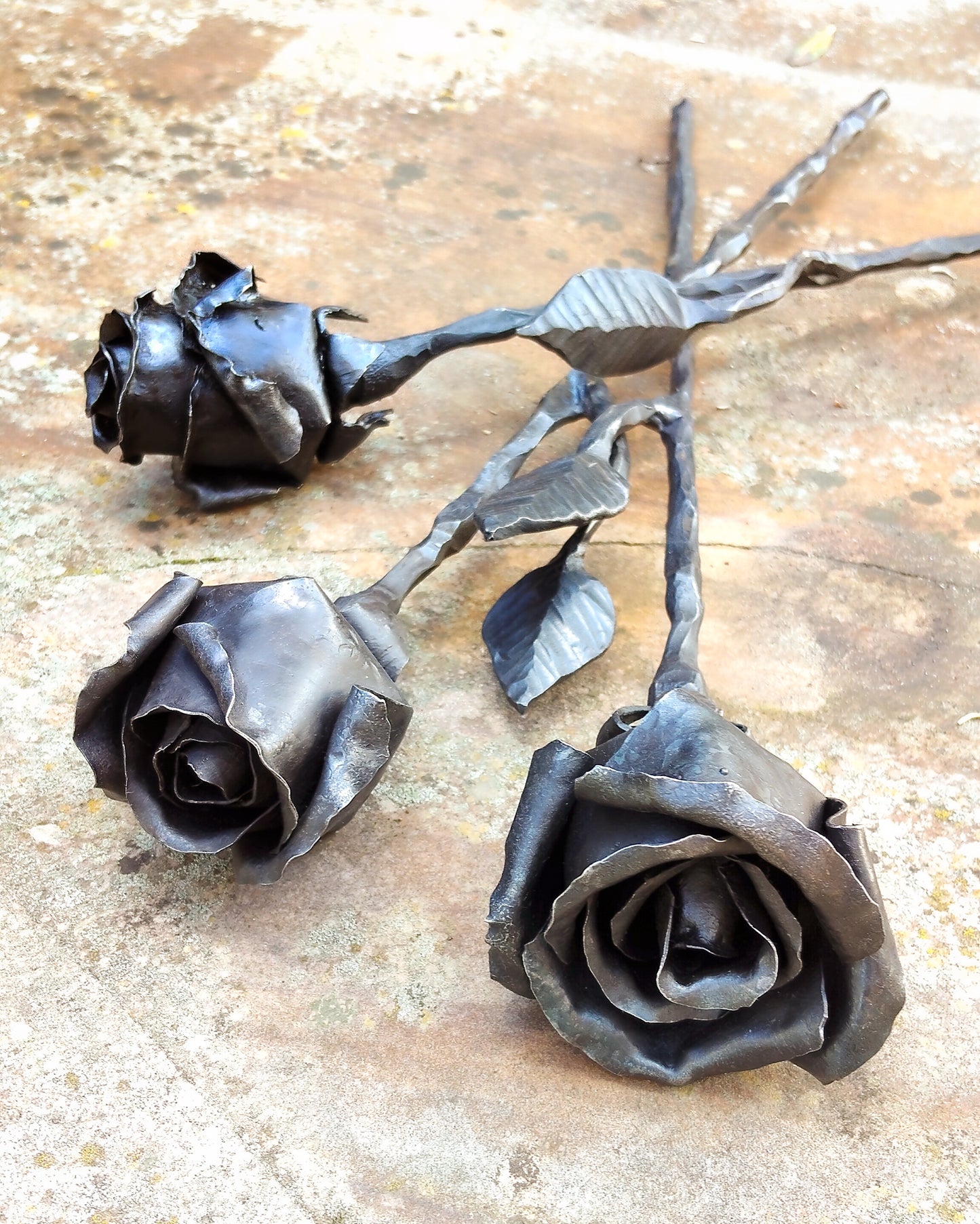 Rose dalla forgia