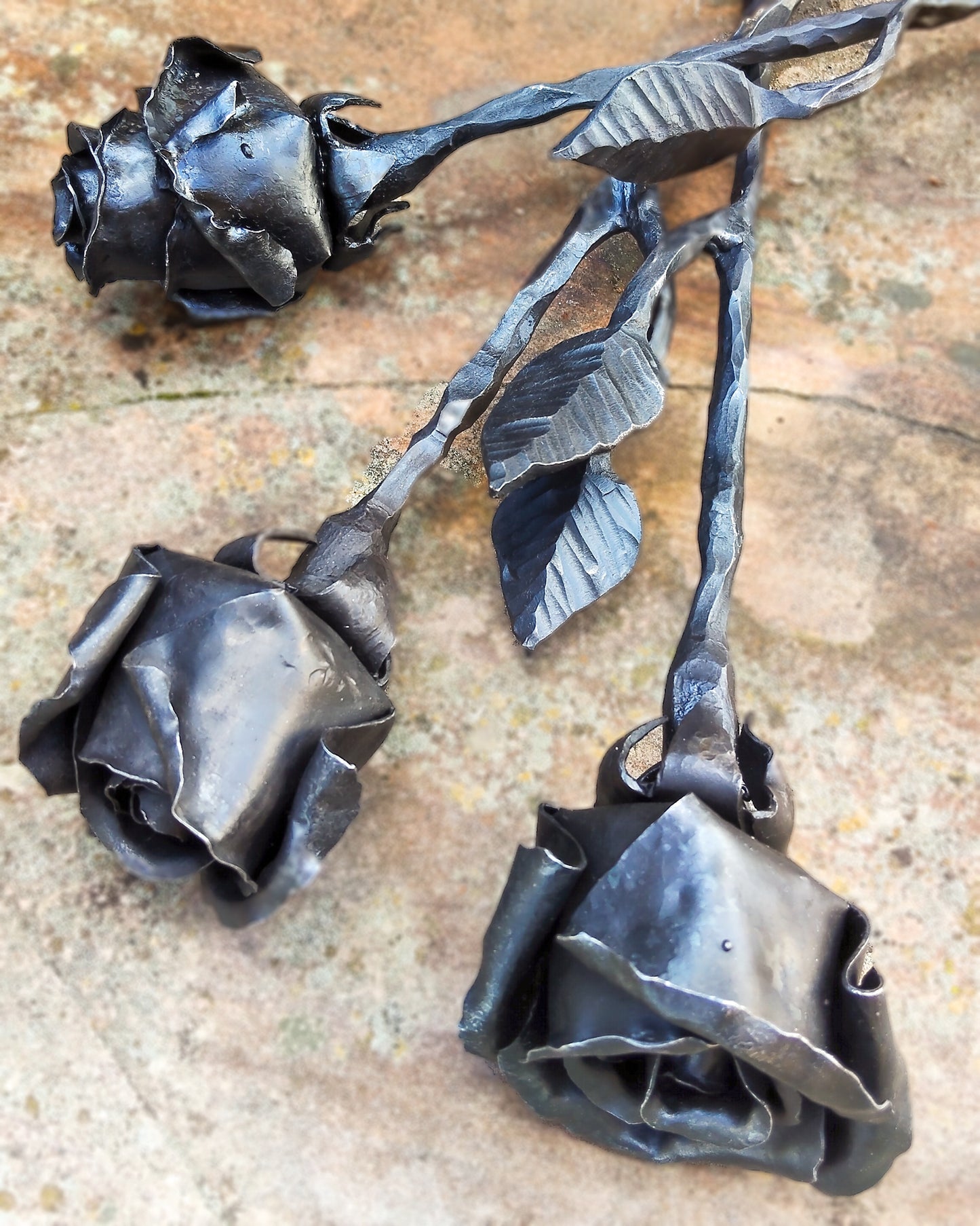 Rose dalla forgia
