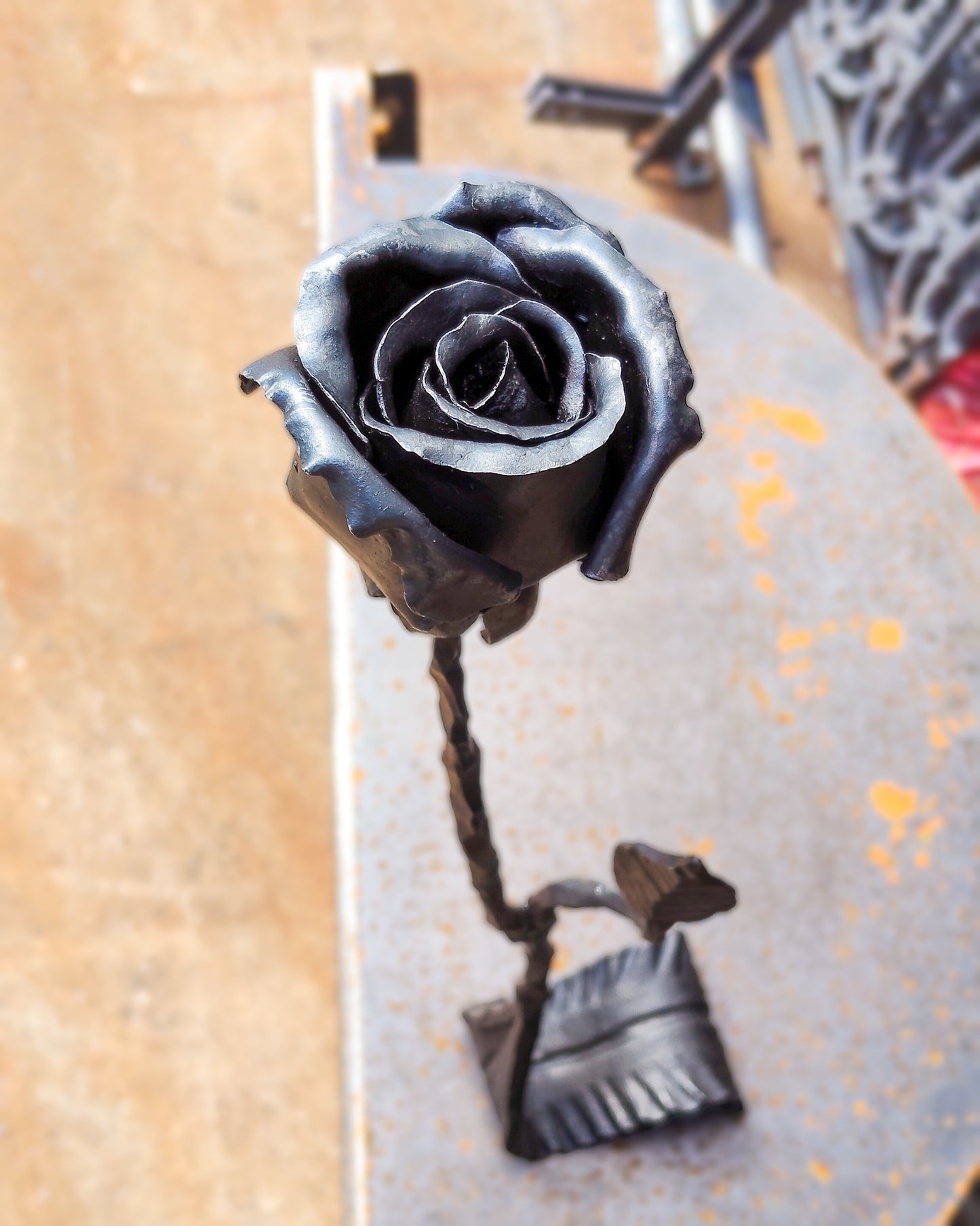 Rosa su foglia