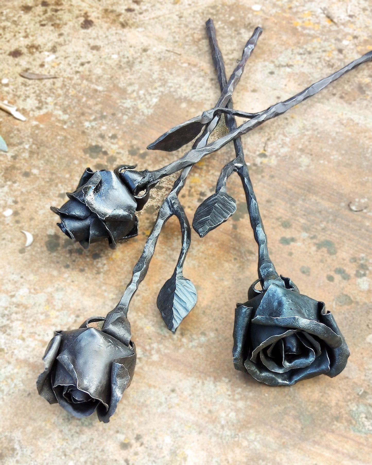 Rose dalla forgia