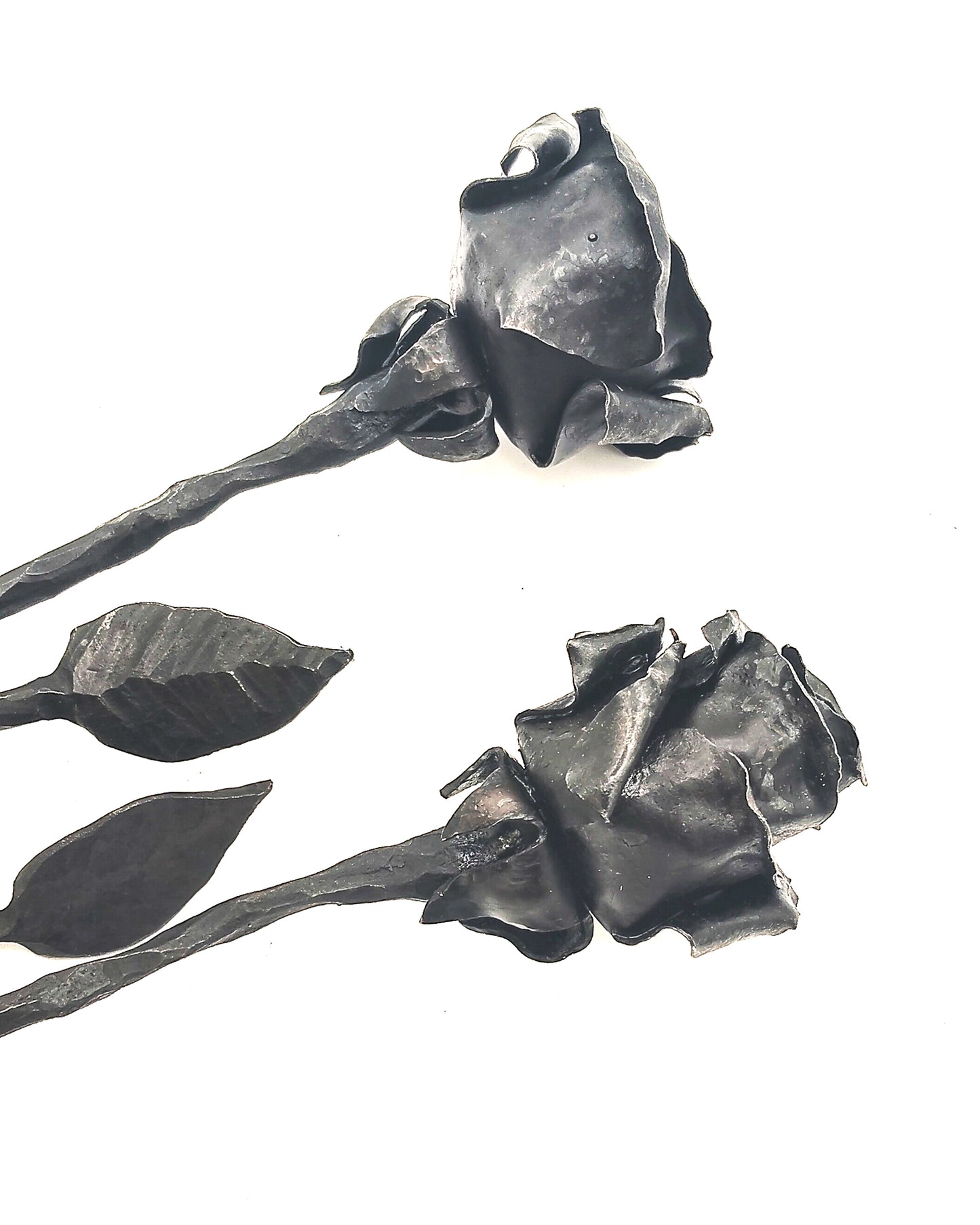 Rose dalla forgia