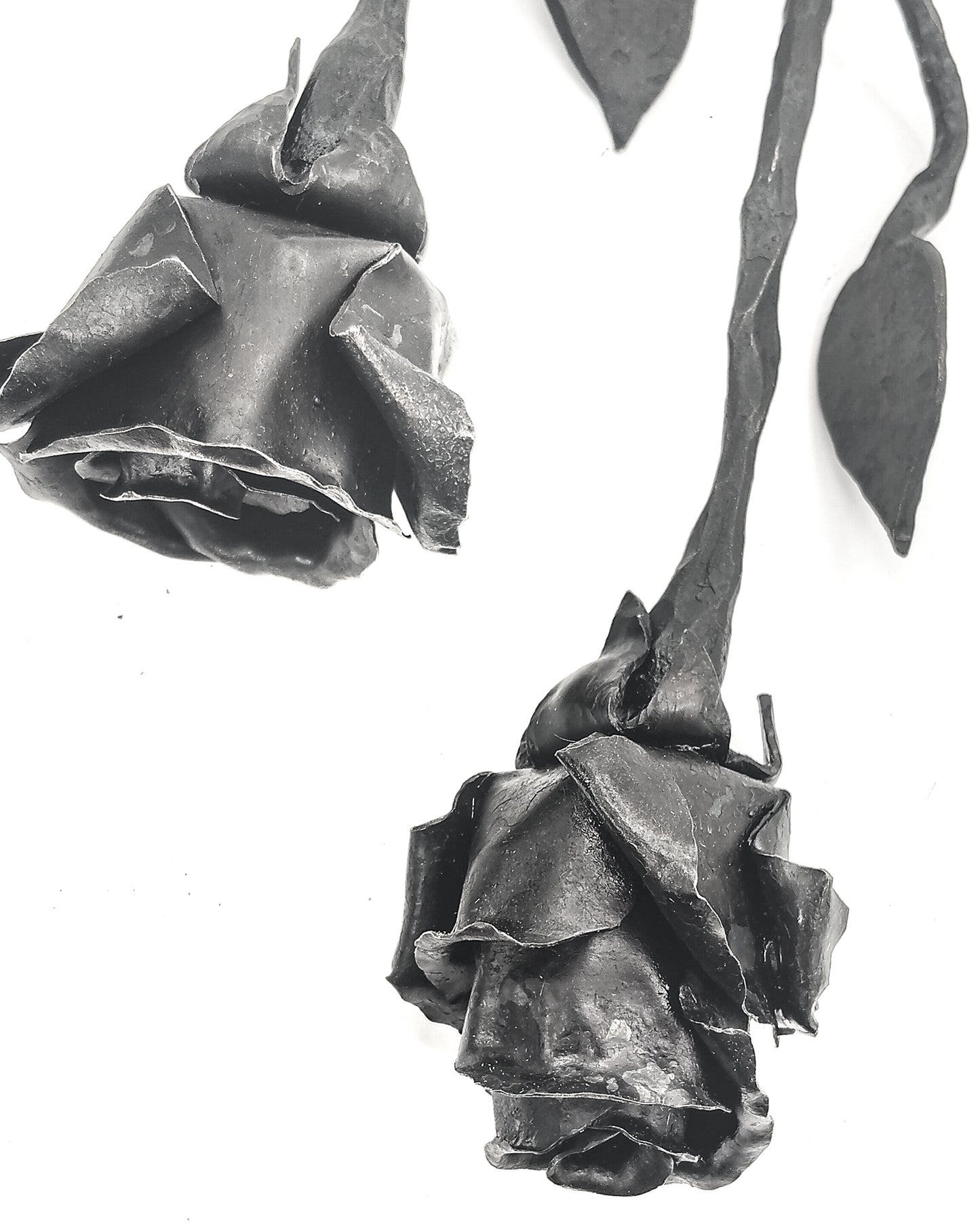Rose dalla forgia