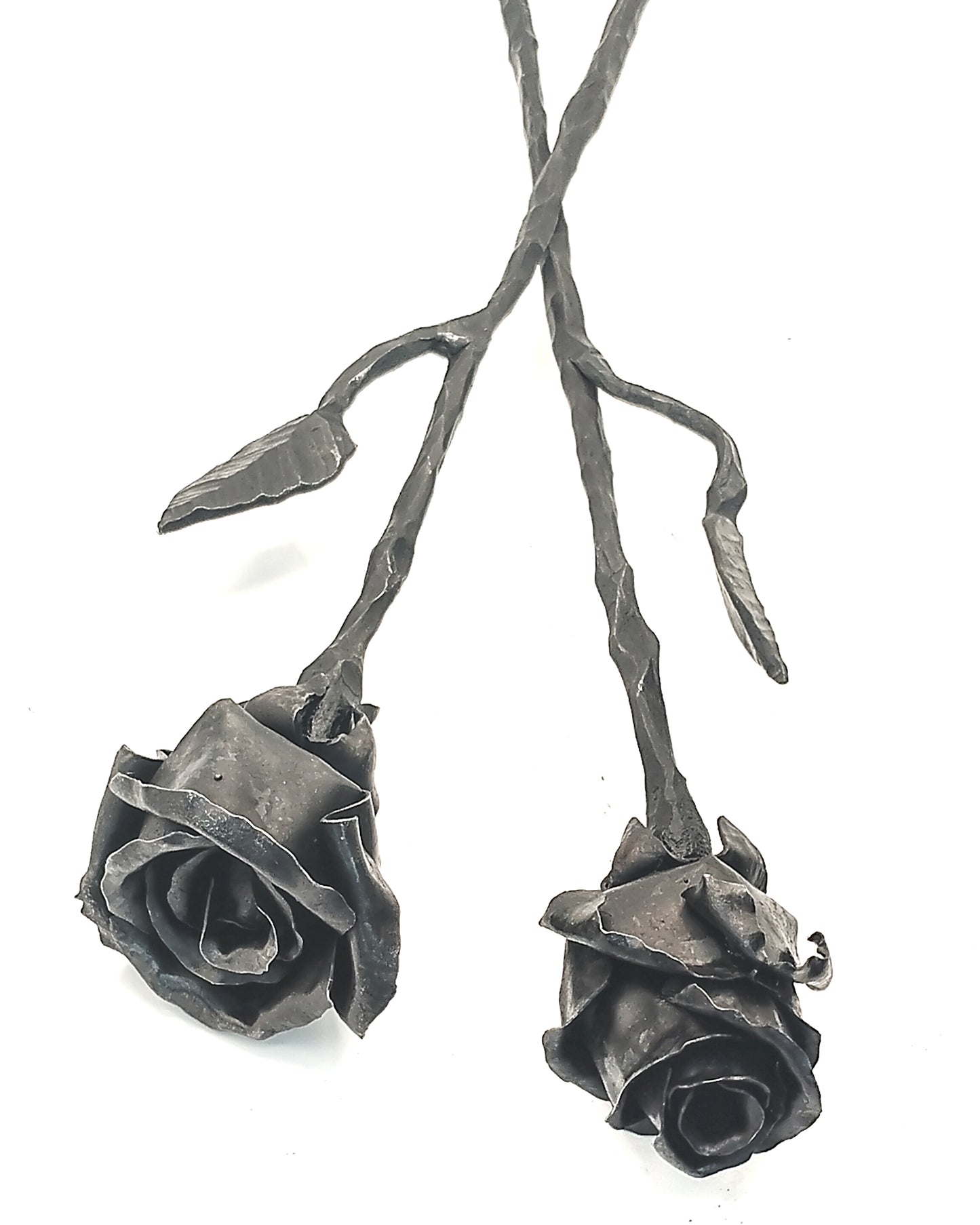 Rose dalla forgia