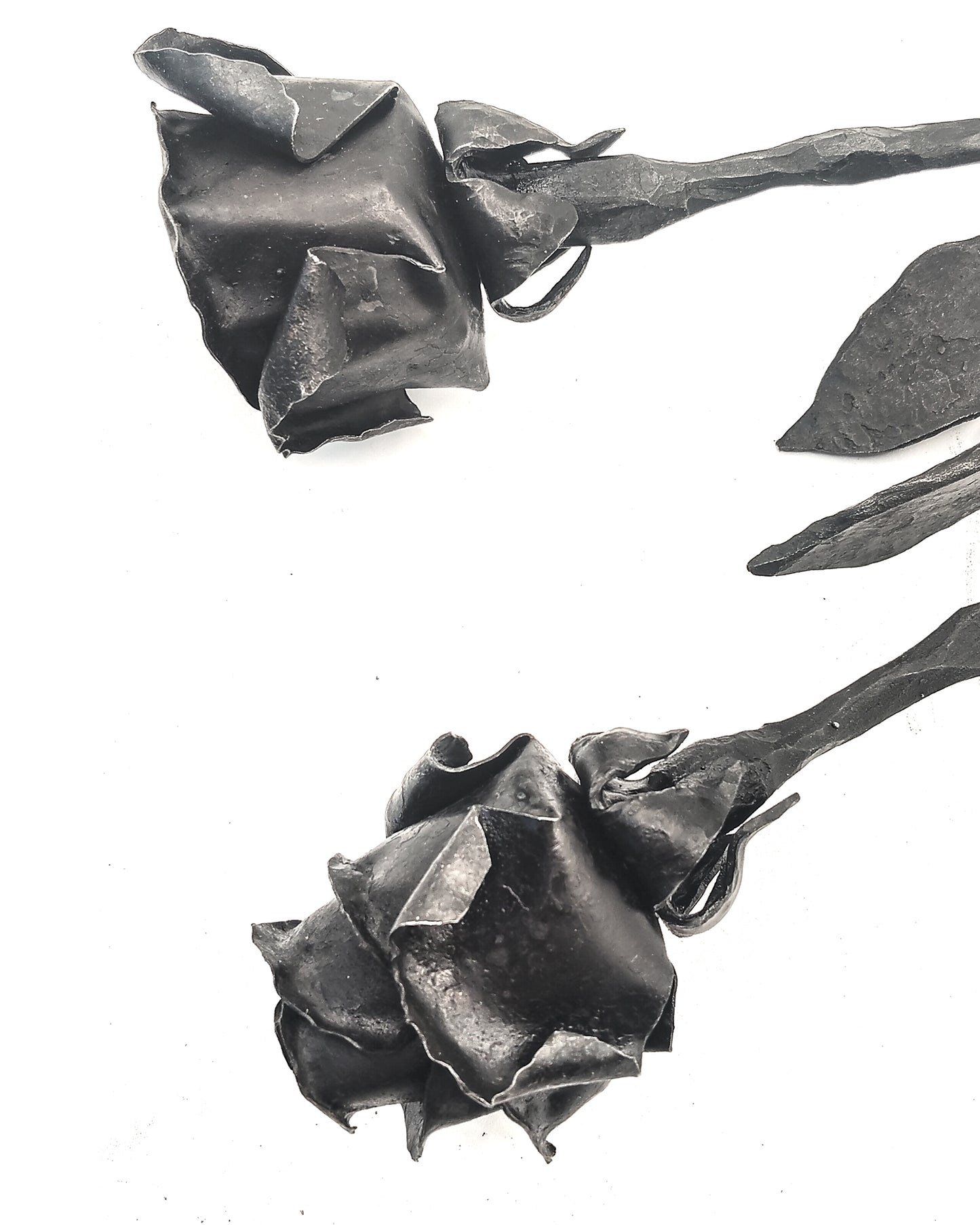 Rose dalla forgia