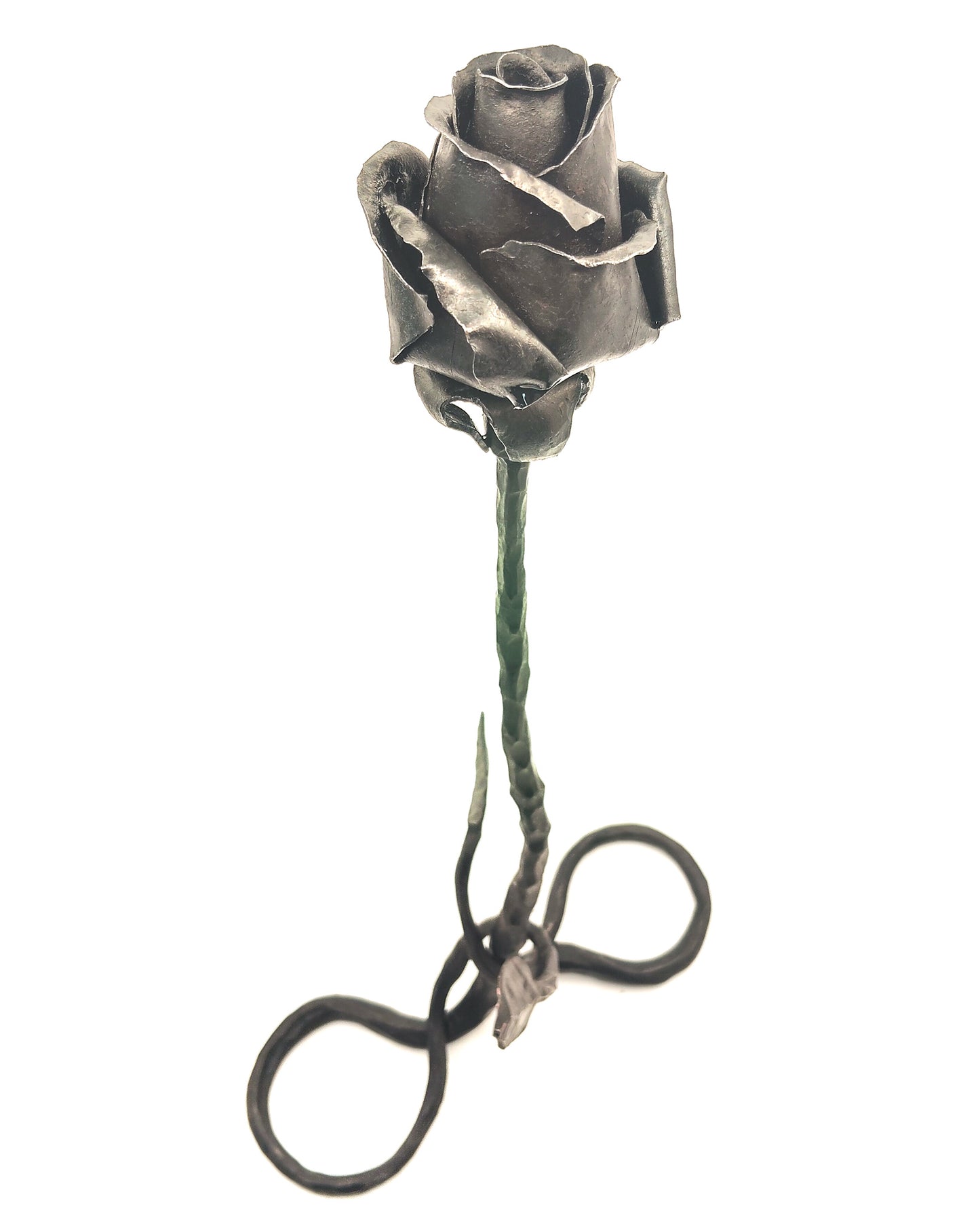 Rosa autoportante INFINITO - Collezione ROSE