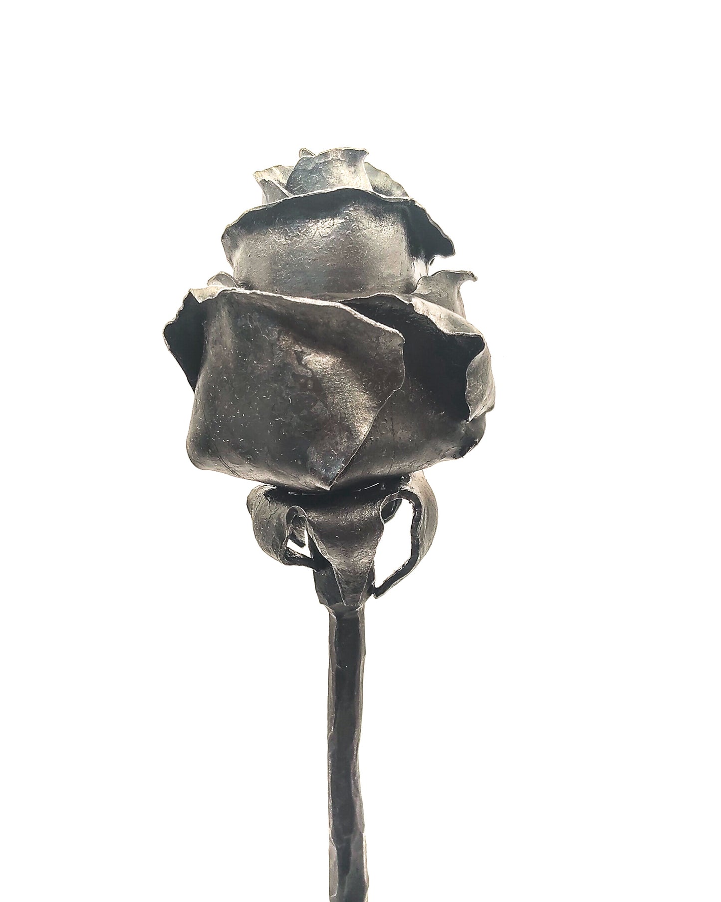 Rosa autoportante INFINITO - Collezione ROSE