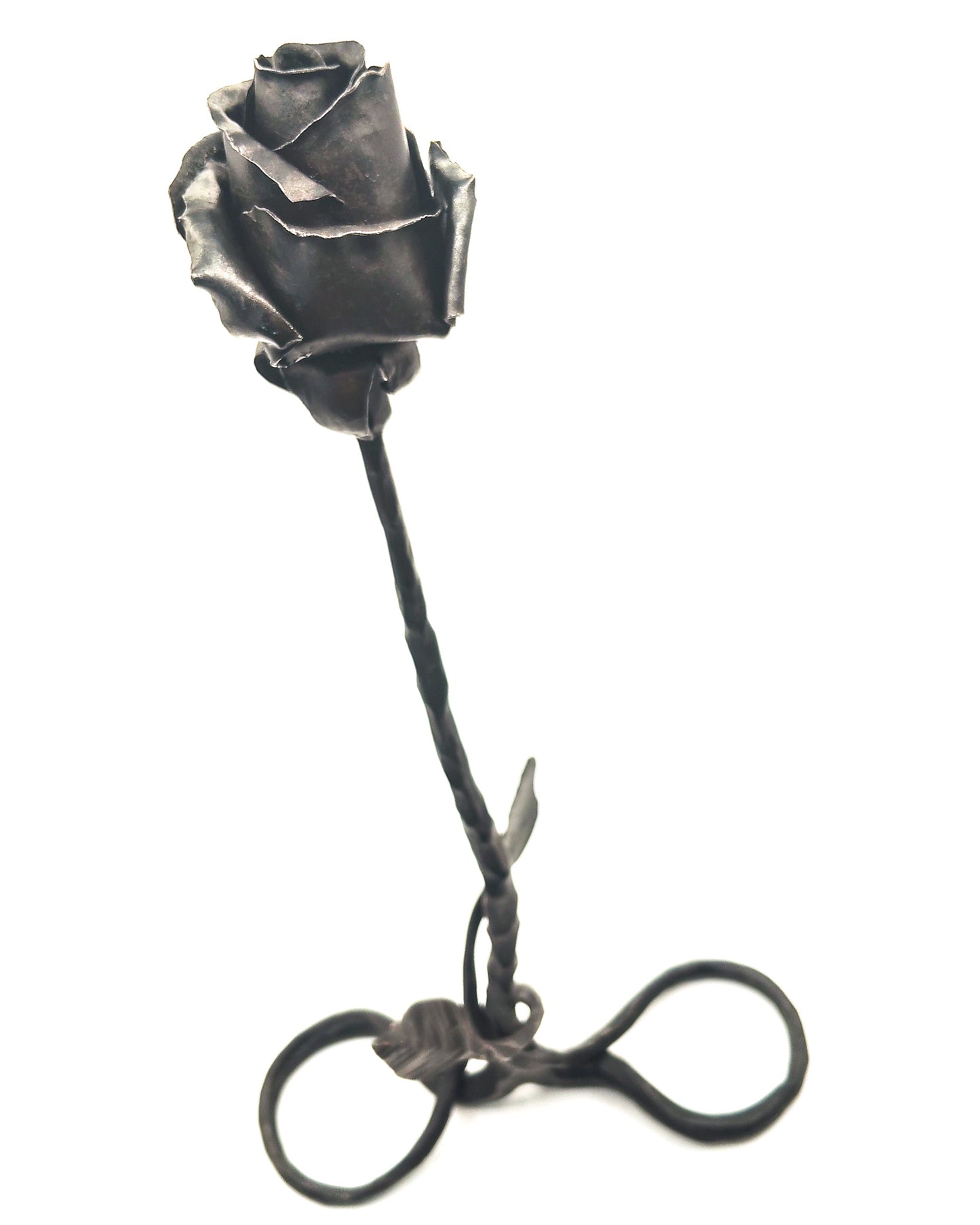 Rosa autoportante INFINITO - Collezione ROSE