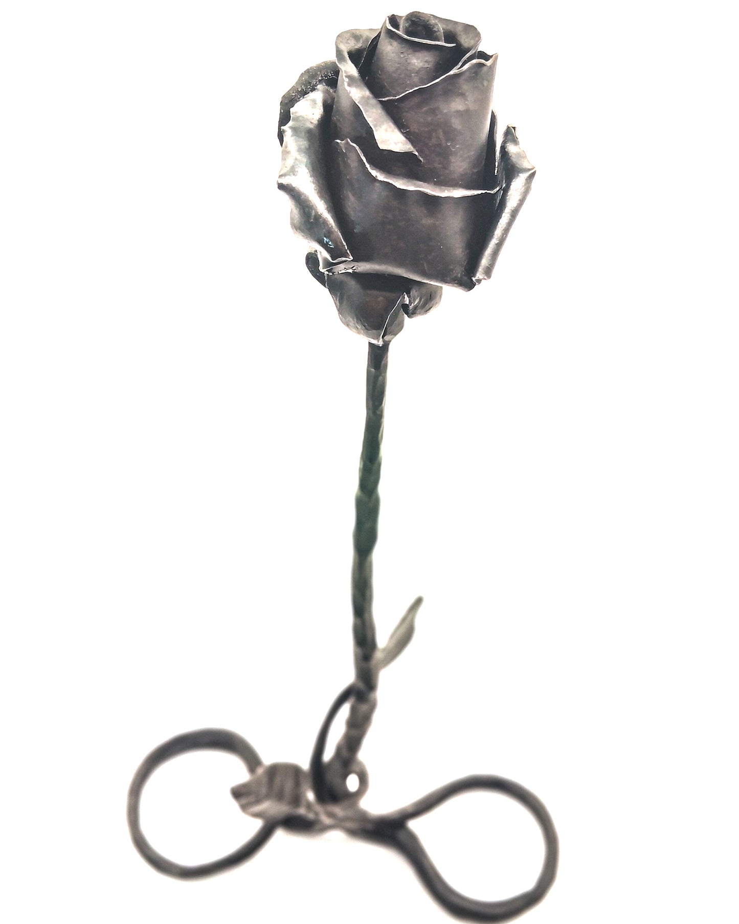 Rosa autoportante INFINITO - Collezione ROSE