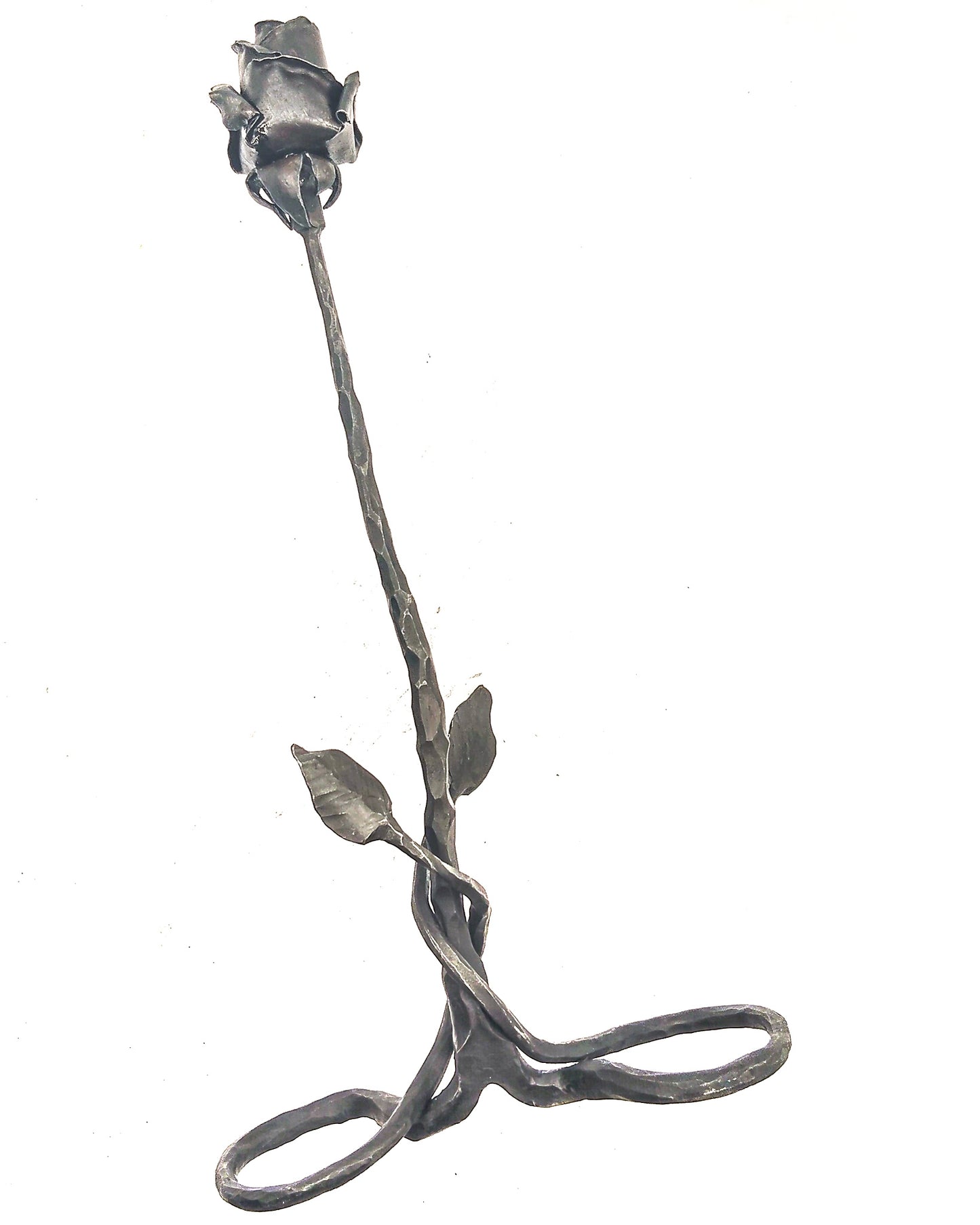 Rosa autoportante INFINITO - Collezione ROSE