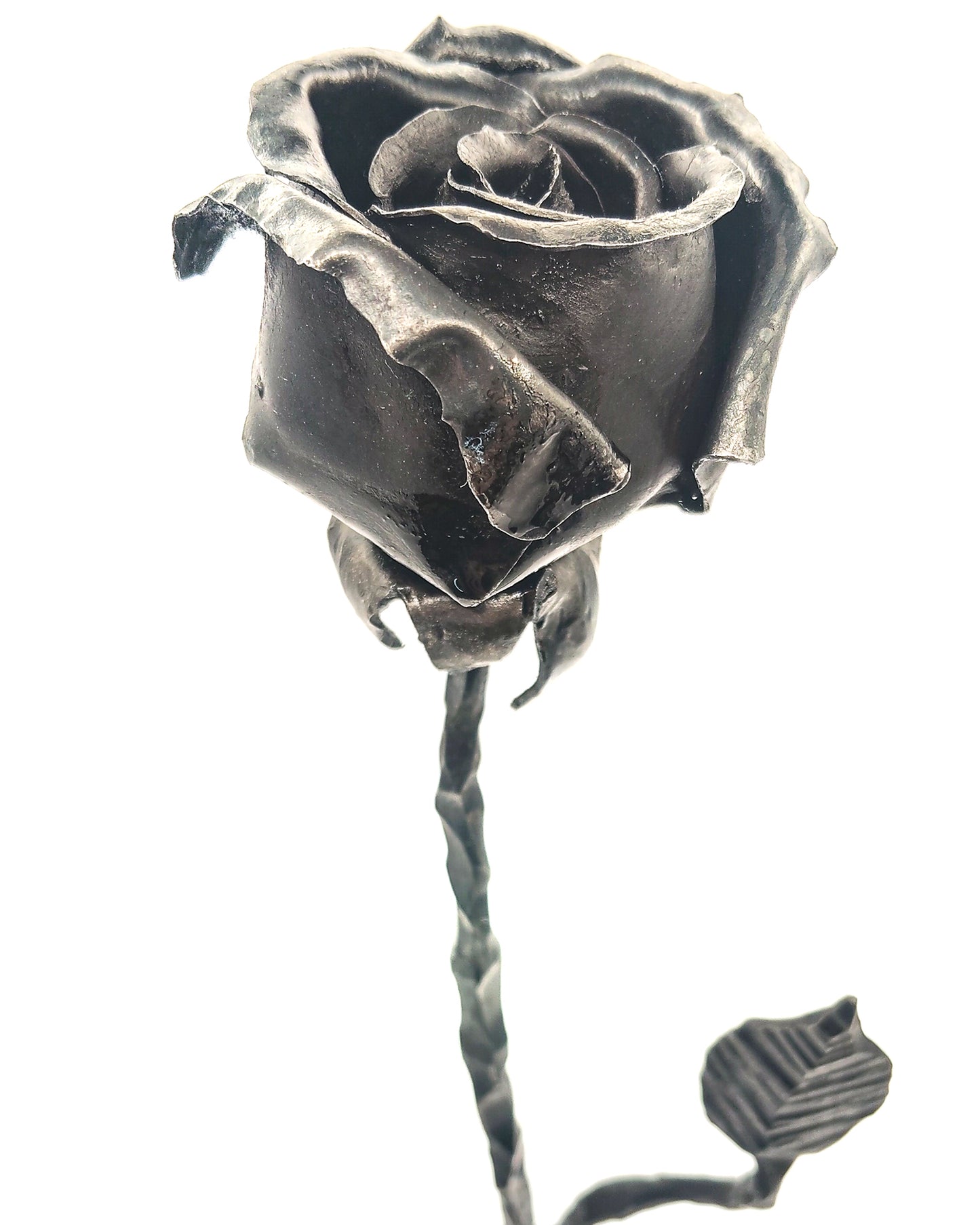 Rosa su foglia