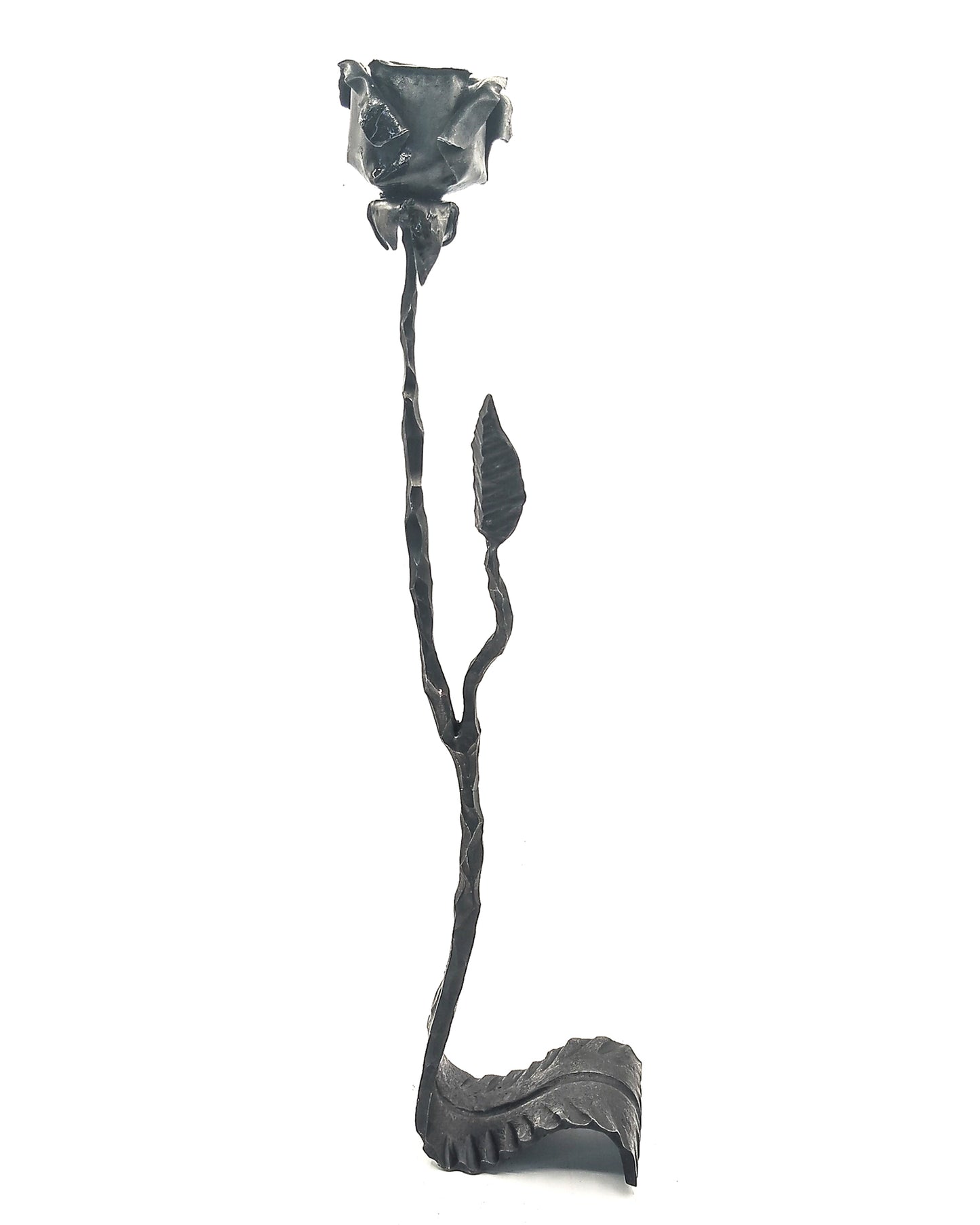 Rosa su foglia