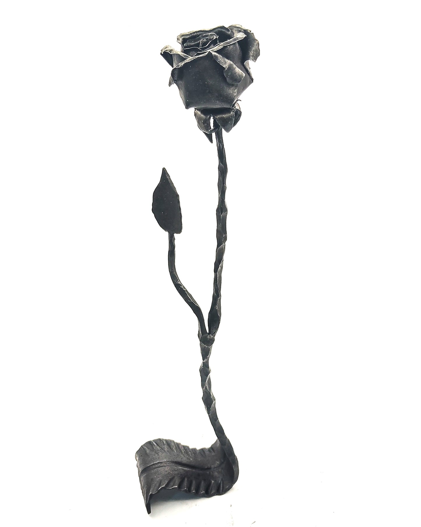Rosa su foglia