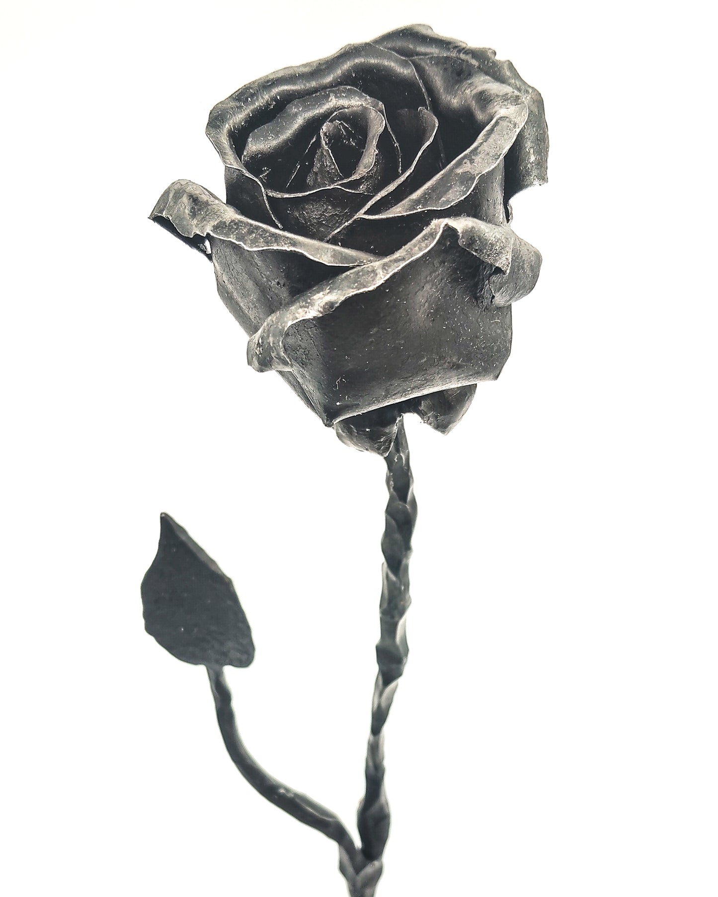 Rosa su foglia
