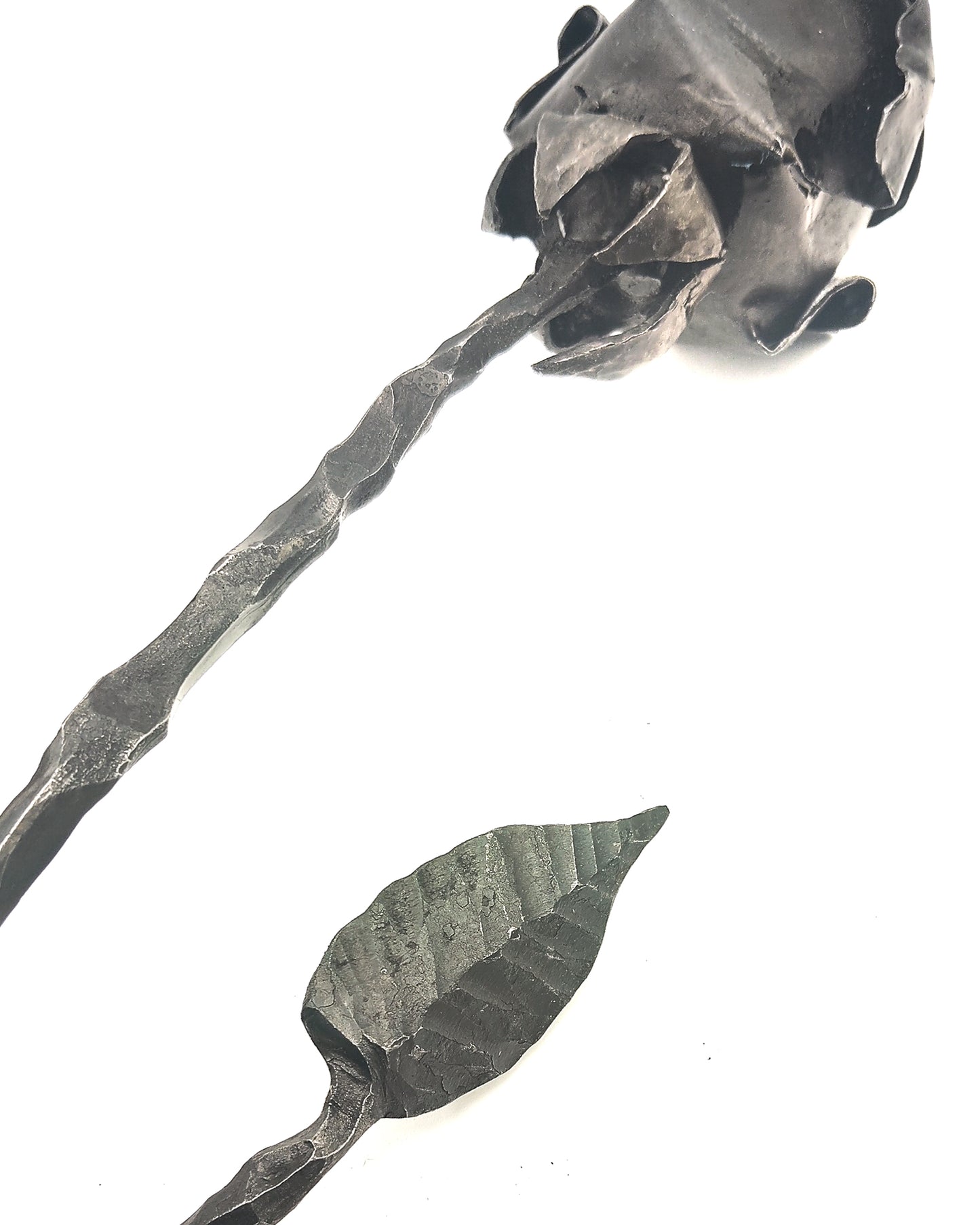 Rosa su foglia