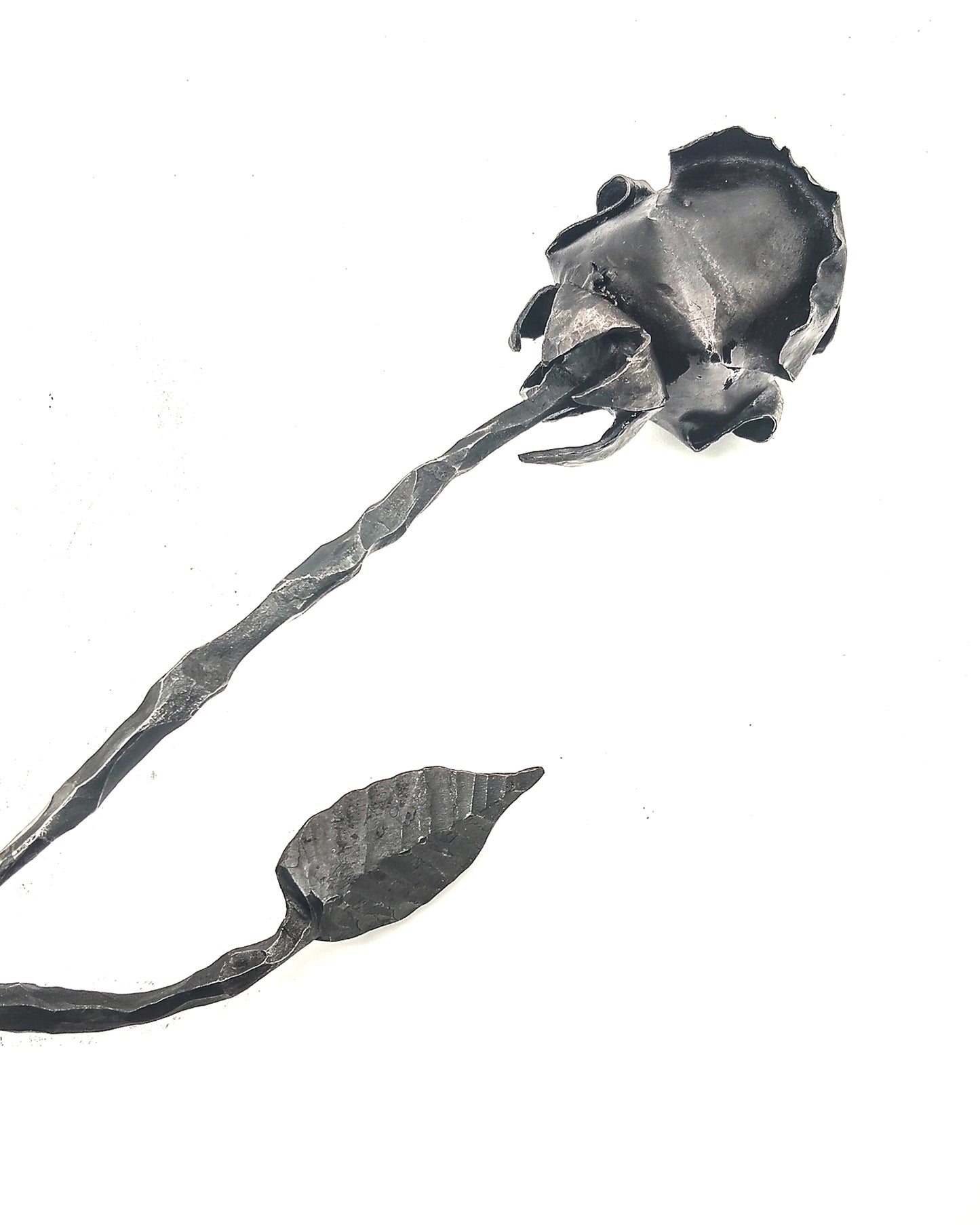 Rosa su foglia